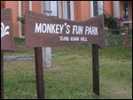 Monkey Hill3