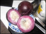Tar Apple