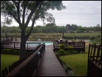View while having morning breakfast