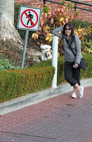 Sign means no walking on the flowers
