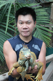 Wei