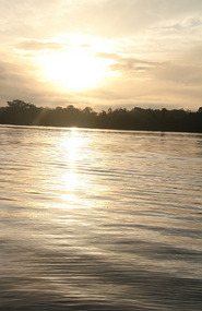 Sunrise from my "Hotel" cabin