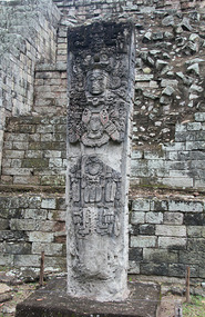 Stela P