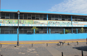 School
