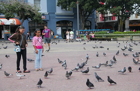 Plaza de la Cultura