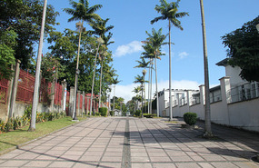Calle 17