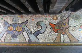 Calle 11