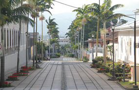 Calle 17