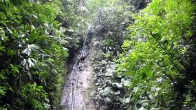 24 sec video CLICK HERE - Lisa 45 metre drop