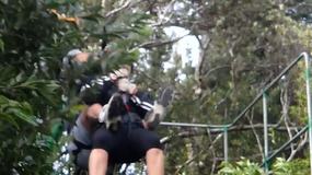 25 sec video CLICK HERE: Fran & Wayne