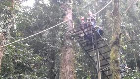 1 min 54 sec video CLICK HERE: Bruce's Tarzan