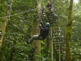 Tarzan Swing