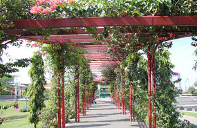 Cinta Costera