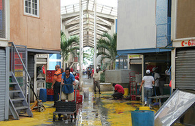 Fish Market