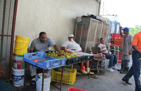 Fish Market