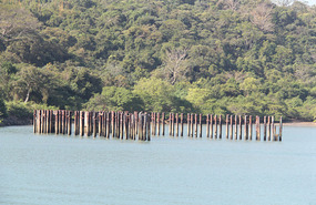 Old ferry terminal piles