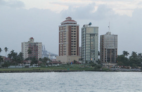 Colon