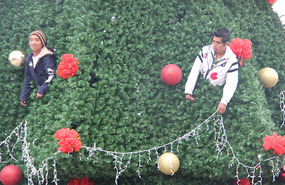 Dressing the Christmas tree Mexican style