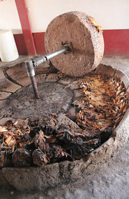Mezcal - grinding agave 