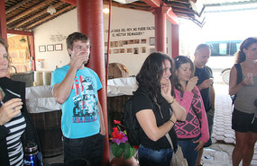 Julia, Antony, Rochelle, Mary-Ann, Jase & Lisa