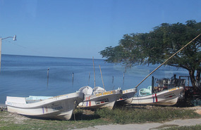 Champoton
