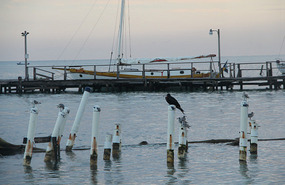 Caye Caulker