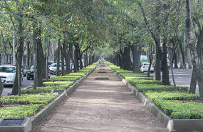 Bosque de Chapultepec