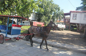 Belize City