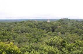 View from top of Temple IV