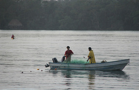 Early morning fishermen