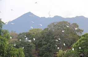 Mombacho Volcano finally revealed itself