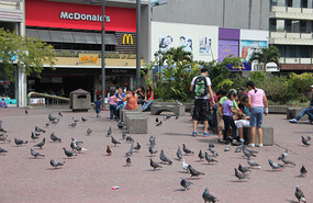 Plaza de la Cultura