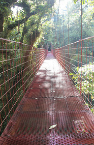 Hanging bridge