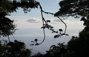 Pacific Ocean in the distance