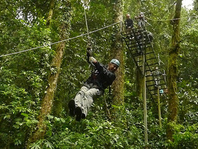 Tarzan Swing