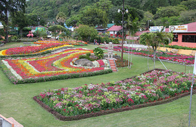 Grounds next to the Flower and Coffee Festival