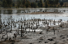 Lake Ade'lle