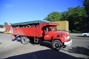 Camiones / Truckbus