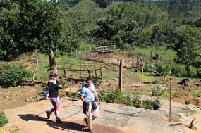 Coffee Grower's House