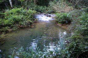 Rio Melodioso