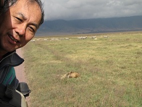 This lion was so close and didn't worry about us