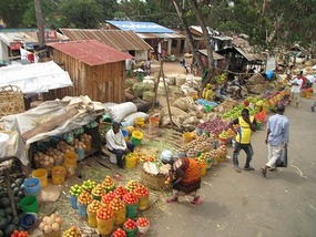 Fresh fruit