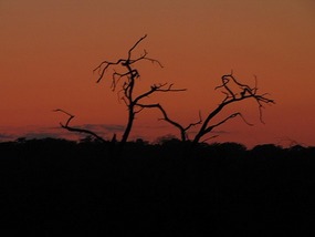 Sun about to rise