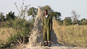 Small termite mound behind