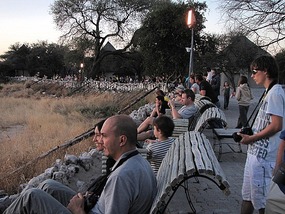 Part of the crowd gathering around the water hole