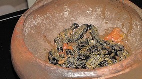Yes, they are dried crunchy worms