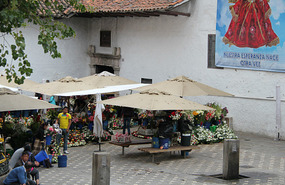 Flower Market