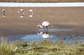 Laguna Canapa