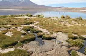 Laguna Canapa