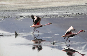 Laguna Canapa